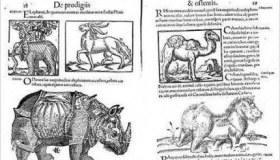 世界10大天书：堪比无字天书 有字你也看不懂