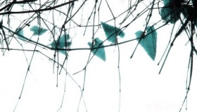 中国古代为什么把国画叫做“丹青”