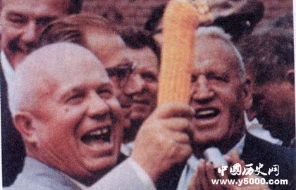 苏联玉米运动_苏联改革种玉米_苏联大种玉米运动的影响