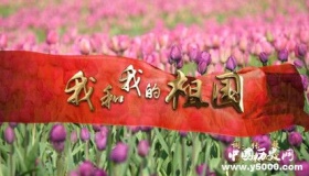 我和我的祖国系列电影剧情和上映时间