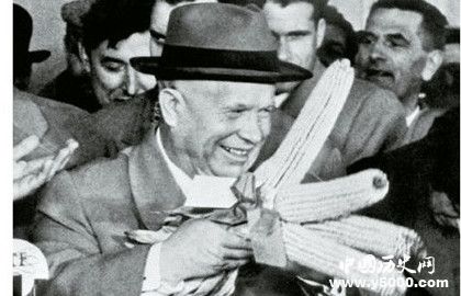 苏联玉米运动_苏联改革种玉米_苏联大种玉米运动的影响