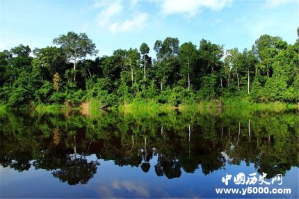 亚马逊雨林保护现状_亚马逊雨林保护措施_如何保护亚马逊热带雨林
