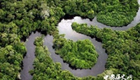 亚马逊流域形成世界最大热带雨林带主要原因是什么