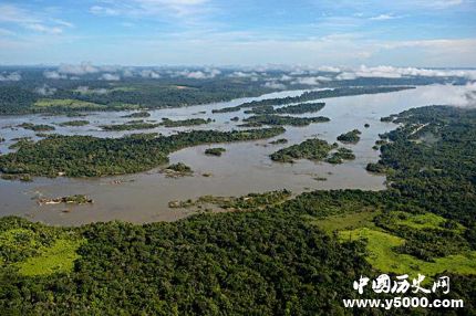 亚马逊雨林在哪个国家_亚马逊雨林多大面积_亚马逊雨林形成原因