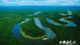 库克：苹果公司将捐款以保护和恢复亚马孙雨林