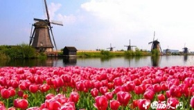 它是全世界最自由国家：工作时长最低，人均收入却在全球前十名