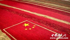 辉煌中国纪录片：每集都展示出一个不一样的中国！