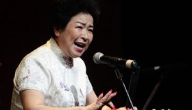 河南坠子的艺术特色