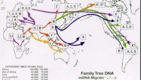 中华文明起源的3大争议，我们究竟来自何方