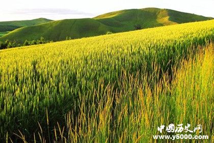 中国农业起源起源于什么时候_中国农业的起源概括_农业是怎样起源的_中国历史网