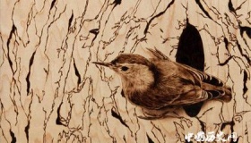 烙画：炉火纯青的“火针刺绣”  《金陵十二钗》是经典之作