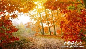 九月美文美句大全：描写九月的30条优美句子