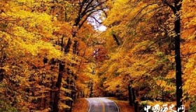 秋天唯美古诗十首：和这个秋天真是绝配！