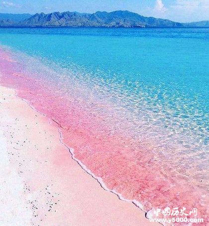 粉色沙滩是什么_粉色沙滩的简介_粉色沙滩形成的原因