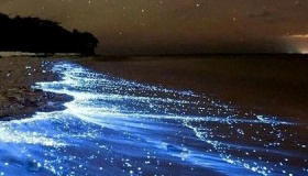 荧光海滩：难道大海也有自己的演唱会？