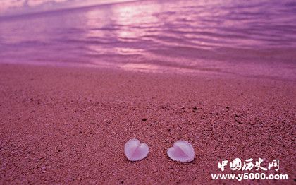 粉色沙滩是什么_粉色沙滩的简介_粉色沙滩形成的原因