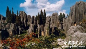 关于云南石林是怎么来的，你知道吗