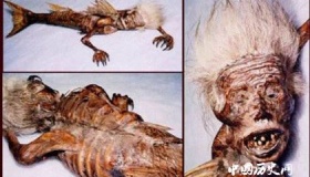 美人鱼：各国报纸上美人鱼真实存在的证据