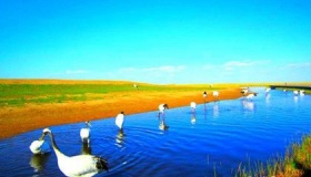 齐齐哈尔扎龙自然保护区是怎么来的