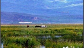 红军长征时经过的草地现在怎么样了