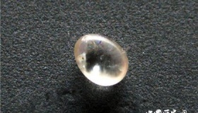 舍利：舍利还有分类呀！