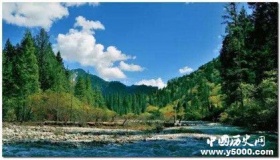 什么是自然保护区？它们都是坐什么的呢