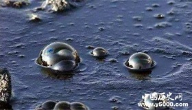 石油是怎么形成的？真的是动物尸体形成的吗？听听专家怎么说