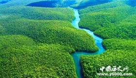 为什么说热带雨林是地球的一种宝贵资源