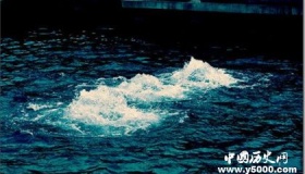 揭秘：为什么地下会冒出泉水来