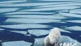 什么是“温室效应”你知道吗