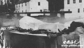 它是唯一被承认的水怪 原来世界上真的存在水怪