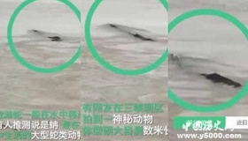 传闻中神秘无比的三峡水怪终于露出了真面目 你想不到！