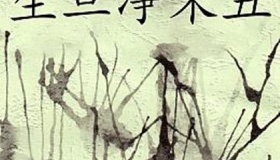 生旦净末丑各有什么含义