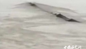 长江三峡“水怪”被打捞上岸 真身引网友调侃