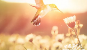 中国最绝的一副对联，无数人读完拍案称奇