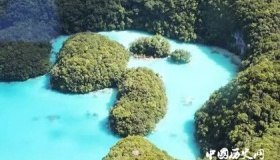 牛奶湖：奶牛见了会不会哭！