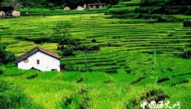 经典田园诗盘点：最有意境的田园诗，乡村田园诗大全