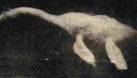 世界十大水怪：震惊世界的水怪之谜