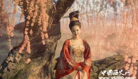 揭秘唐玄宗的最爱：杨贵妃的真实历史样貌
