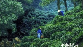 西湖龙井典故传说大集合，里面怎么又有乾隆的事儿！