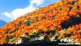 秋天去哪里？给你盘点国内看枫叶的10个好地方！