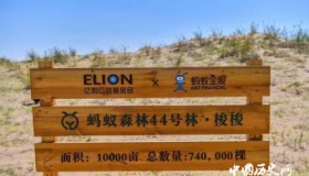 支付宝蚂蚁森林获联合国“地球卫士奖”