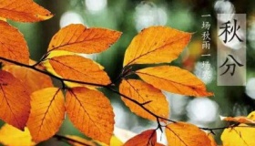 秋分时节，品味最美的秋分诗词