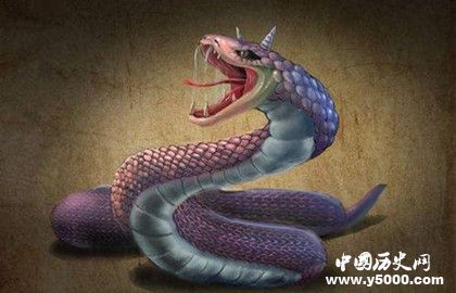 巴蛇是一种什么蛇_巴蛇的传说_山海经里的巴龙
