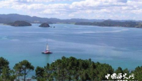 清朝时期，夏威夷为何遍地都是中国人