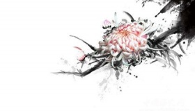 赏菊：盘点菊花诗词十首