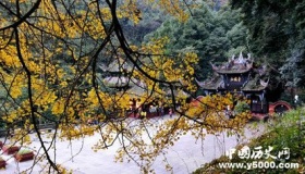 青城山人鬼大战的传说，张天师出场了！