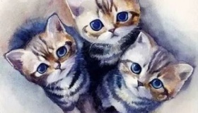 不是童话！猫没进十二生肖真的是因为迟到