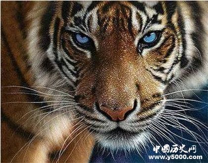 为虎作伥的意思_为虎作伥的意思是什么_为虎作伥成语典故_中国历史网