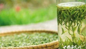 中国六大茶类：绿茶、青茶傻傻分不清楚！